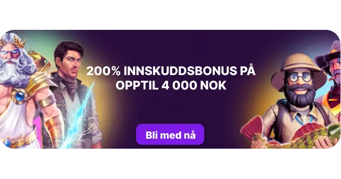 Puntit Casino